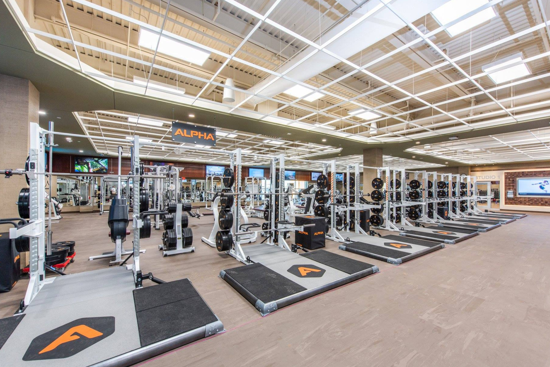 Life Time Fitness Emanuelson Podas Inc Life Time Fitness Emanuelson Podas Inc